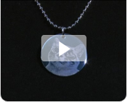 Video Dierenpenning Rond
